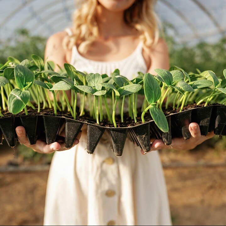 Transform Your Garden Business with Real-Time Inventory Management